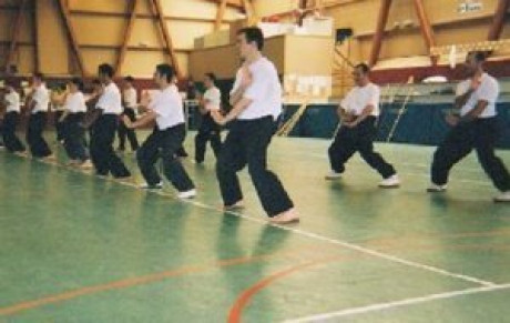 GRAND RASSEMBLEMENT TRADITIONNEL 2013